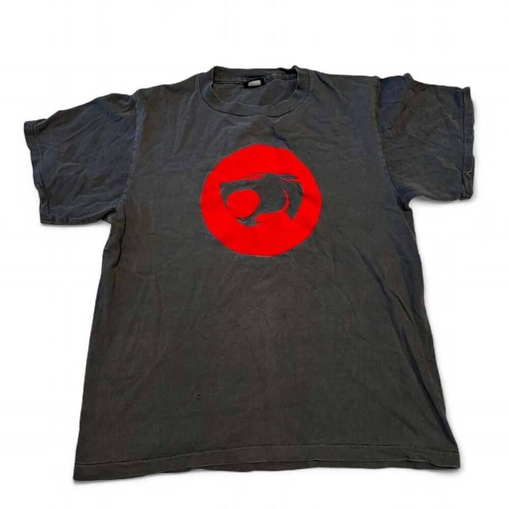 Vintage 90s ThunderCats Graphic T-Shirt Changes Single Stitch